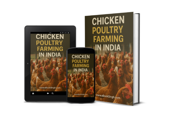 The Complete Guide to Commercial Chicken Poultry Farming in India(English)