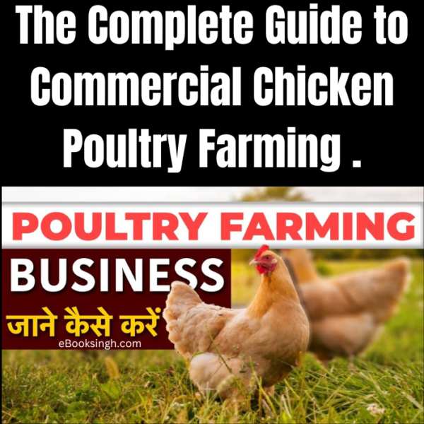 Commercial Chicken Poultry Farming in India