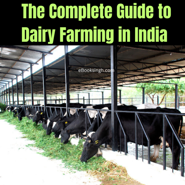 The Complete Guide to Dairy Farming in India